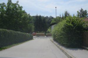 Varnost otrok zmanjšujejo neurejene žive meje ob šolskih poteh